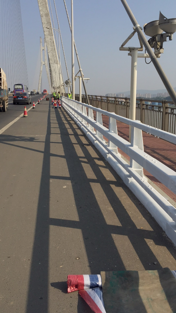 常州本洲涂料有限公司 (4).JPG