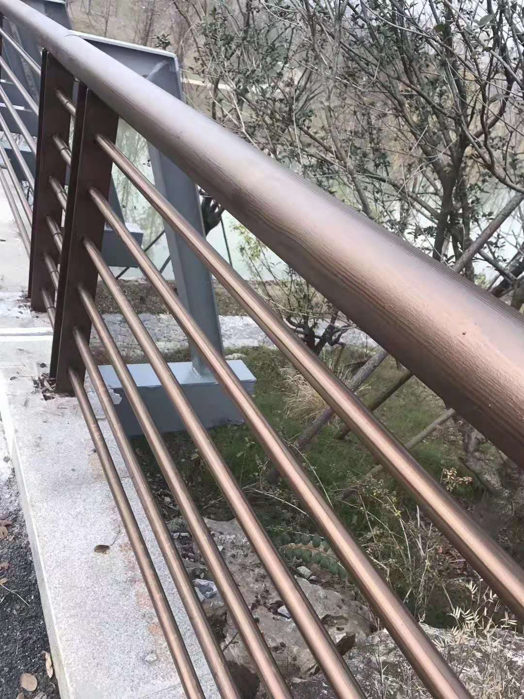 常州本洲涂料有限公司 (2).jpg